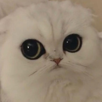 Аватарка Teya