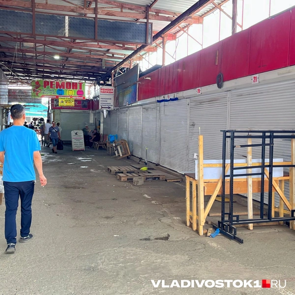 Источник: Елена Буйвол / VLADIVOSTOK1.RU
