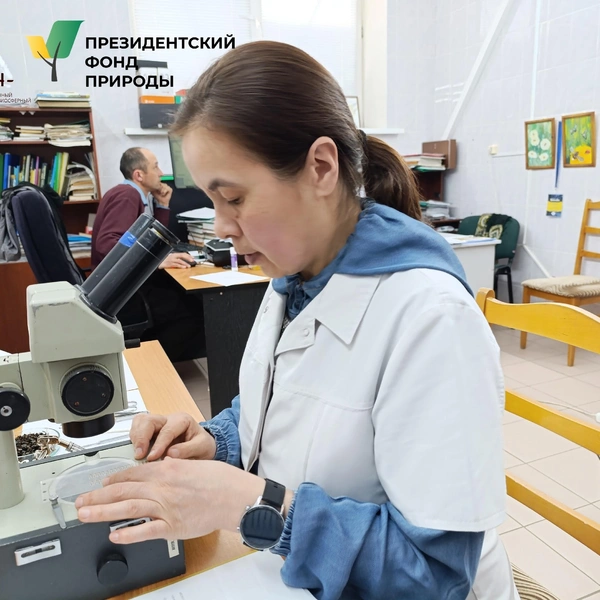 Источник: Государственный заповедник «Шульган-Таш» / Вконтакте