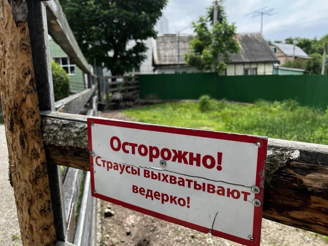 Главное — старинный зоопарк без тесных клеток | Источник: Алиса Князева / VLADIVOSTOK1.RU