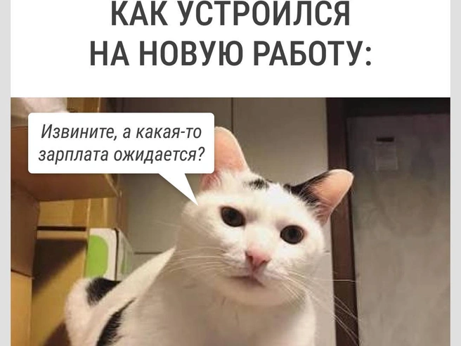 Побыстрее бы | Источник: Городские медиа