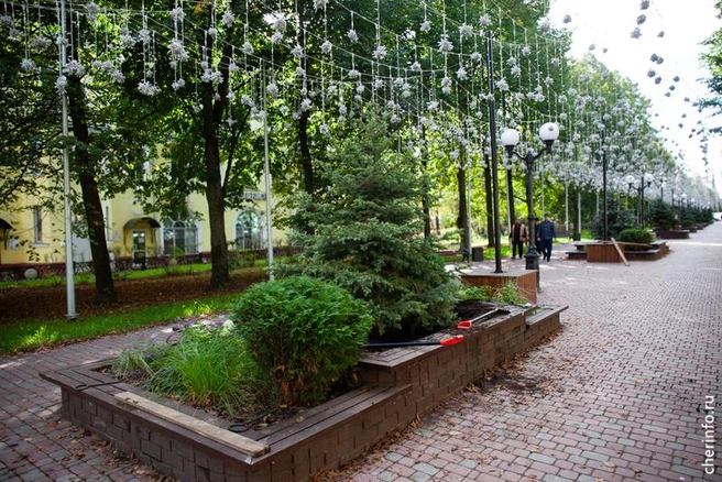 Источник: st.cherinfo.ru