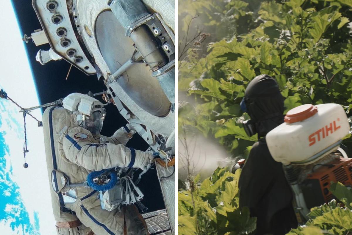 В Перми пройдет фестиваль научно-популярного кино FUTURE.DOC. В программе — фильмы про борщевик, фламинго и космонавта