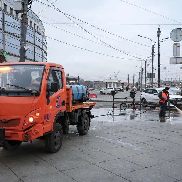 Источник: Комитет по благоустройству Петербурга