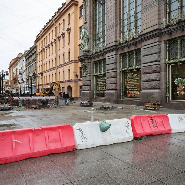 Источник: СПб ГБУ «Центральное УРДиБ»