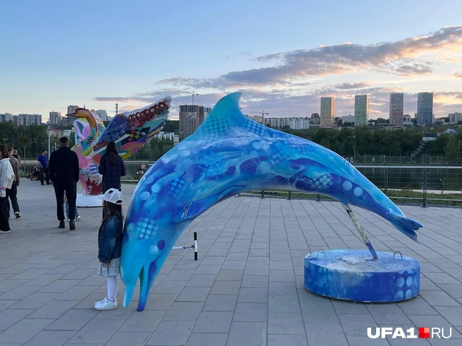 Дельфин клюет носом | Источник: читатель UFA1.RU