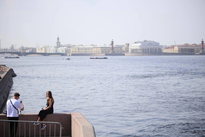 Неприятности к вечеру. В Петербурге — гость из Польши | Источник: Валентин Егоршин / «Фонтанка.ру»