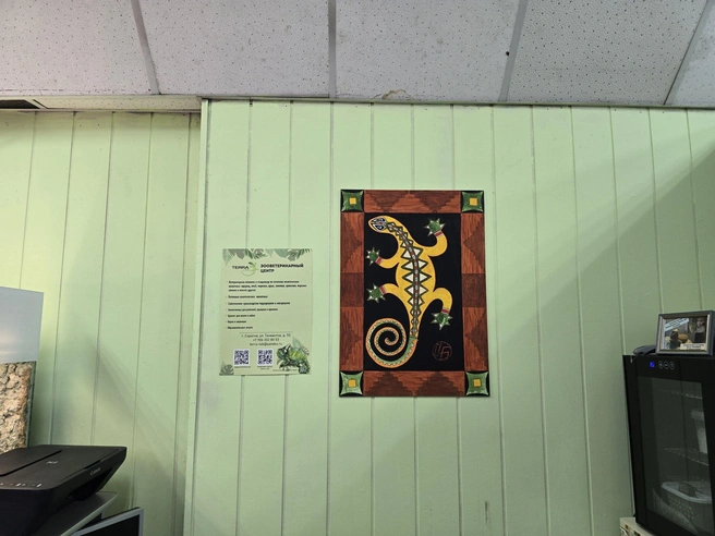 Ремонт пока не доделали | Источник: Семен Коротов-Майбах / 164.RU