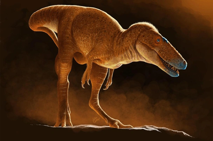 Монгольский динозавр по имени Khankhuuluu mongoliensis | Источник: Julius Csotonyi 