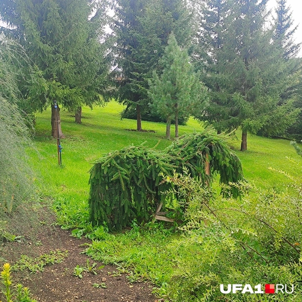 В форме слона | Источник: Марина Каримова / UFA1.RU