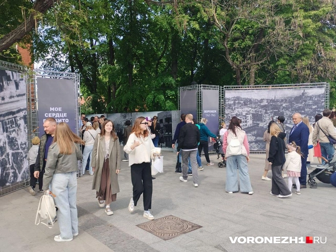 Источник: Дмитрий Волгин / Voronezh1.ru