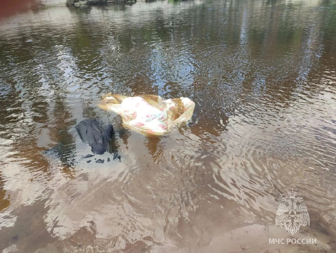 Женщина и ребёнок утонули в Нижегородской области | Источник: МЧС по Нижегородской области
