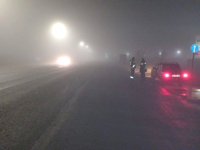Такая видимость на дорогах была ночью | Источник: ГИБДД по Саратовской области