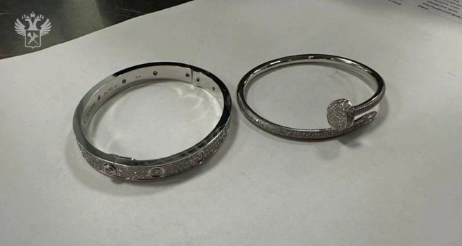 Гвоздь программы в носке у пассажира сорвал ювелирный номер на таможне в Домодедово | Источник: Официальный канал ФТС России