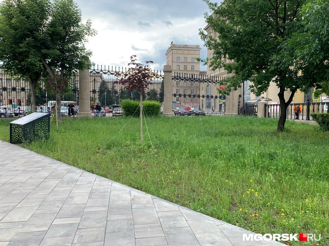 У входа в сквер со стороны МГТУ растут клены с красными листьями | Источник: Анна Лялькова / MGORSK.RU