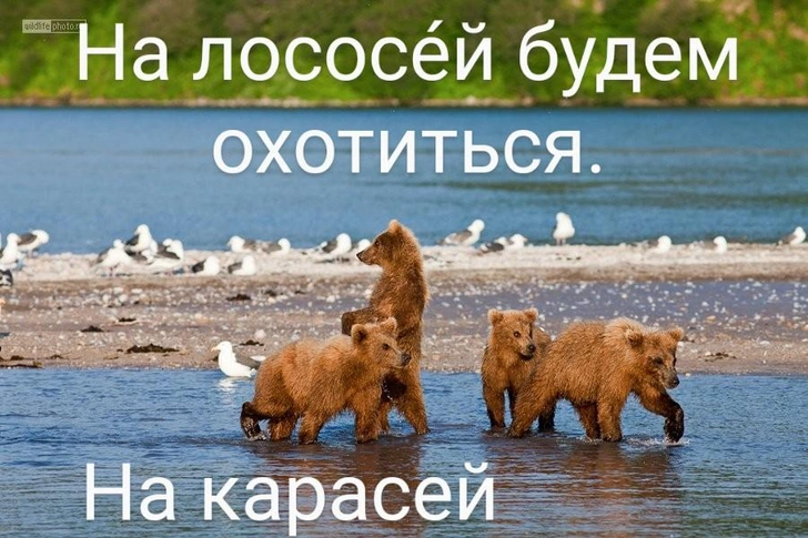 Источник: Соцсети