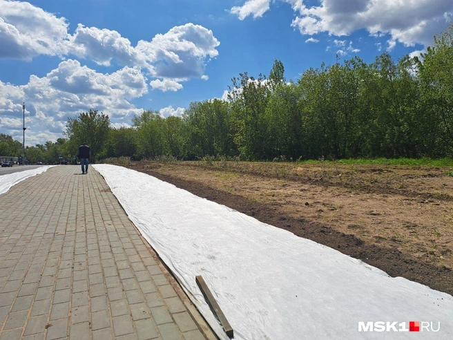 Источник: Арина Майорова / MSK1.RU