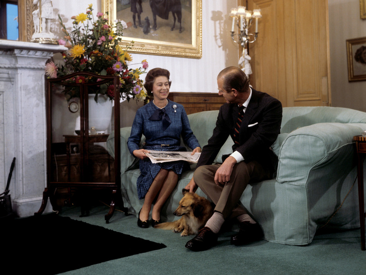 Главная страсть Королевы: что станет с любимыми собаками Елизаветы II?