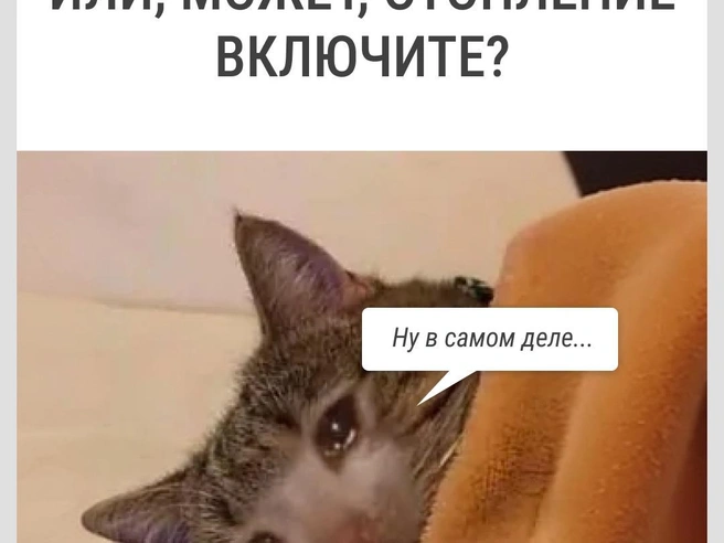 Пока что тварь дрожащая… | Источник: Городские медиа