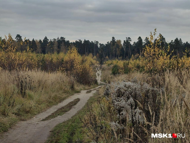 Источник: Дмитрий Бондарев / MSK1.RU