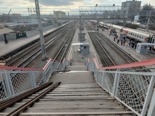 Источник: Сергей Гендин / 164.RU