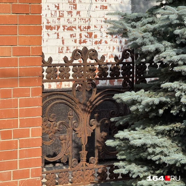 Источник: Сергей Петунин / 164.RU
