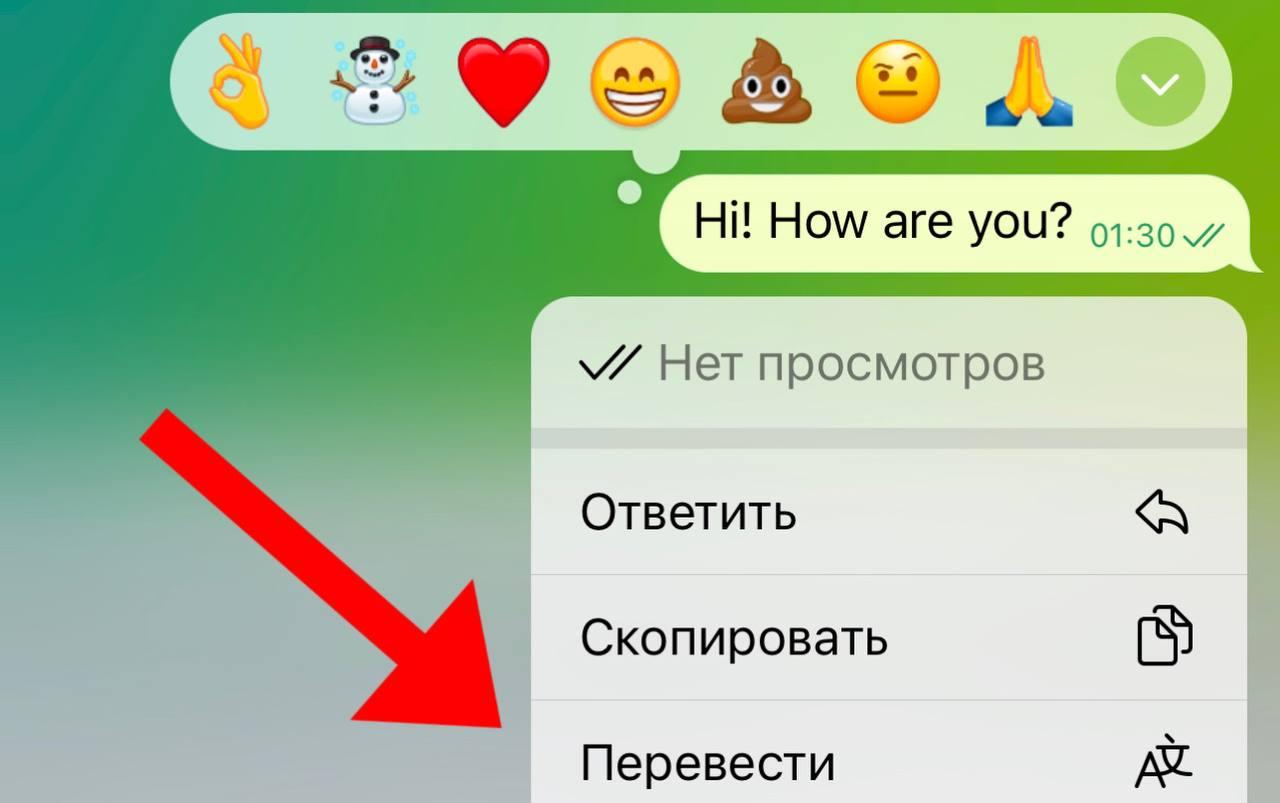 Почувствуй себя хакером: 20 фишек и багов Telegram, о которых ты могла не  знать | theGirl