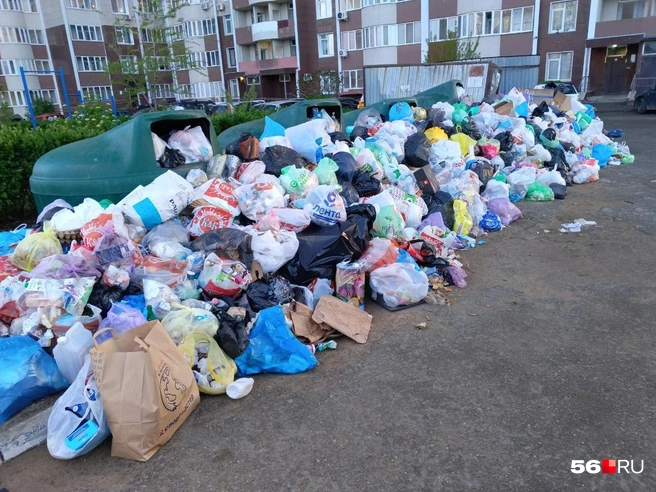 В Оренбурге на проспекте Гагарина, 21/8 образовалась свалка | Источник: Владислав Митрошин / 56.RU