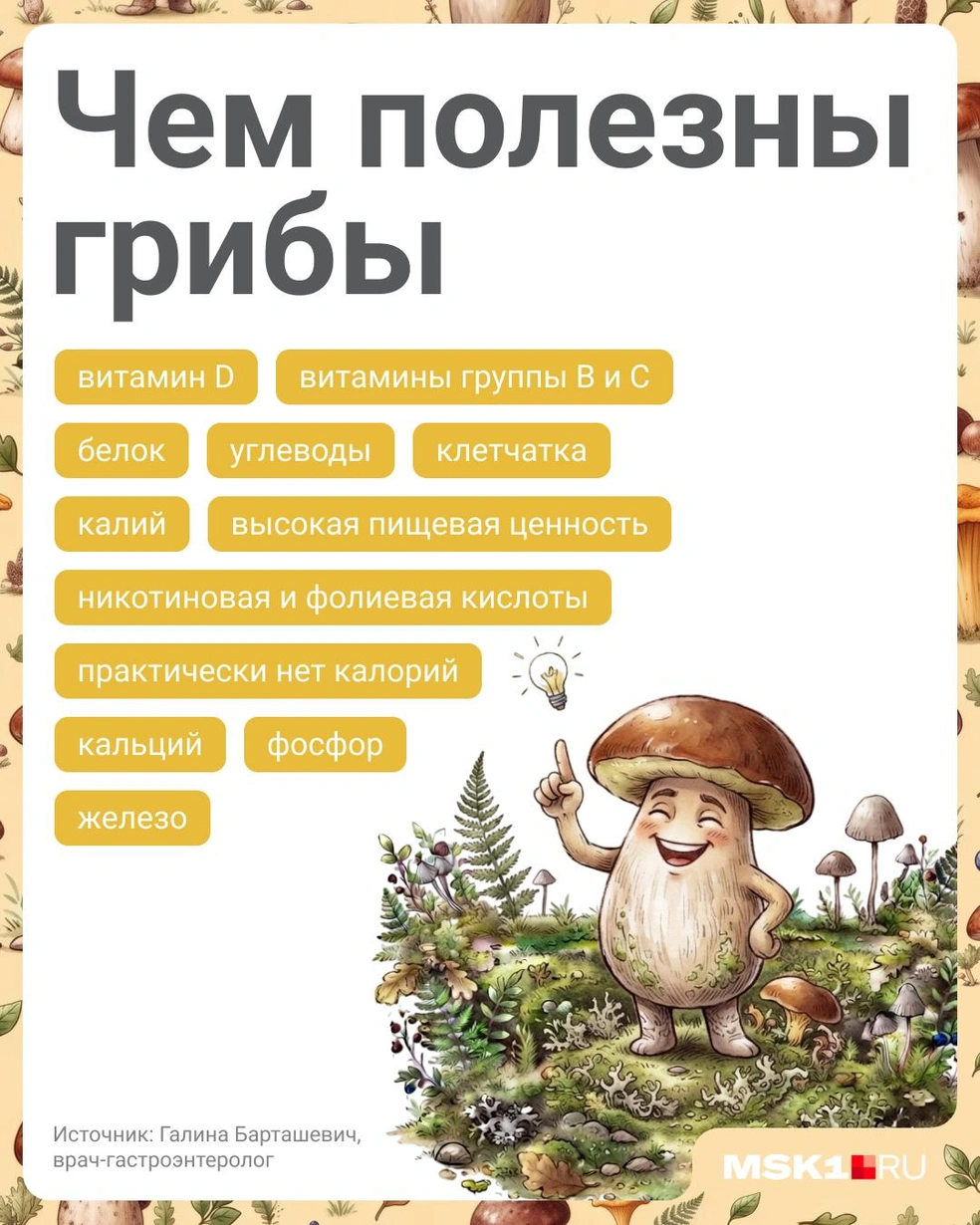 В грибах хватает полезных веществ | Источник: Полина Авдошина / Городские медиа