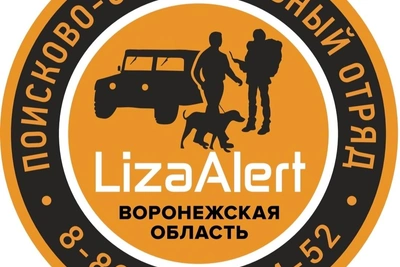 Воронежца нашли в 40 км от города по записям видеорегистраторов