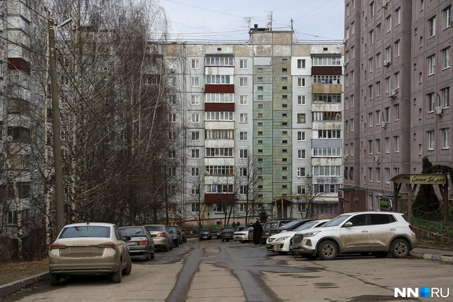 Льготная программа будет действовать не во всех городах региона | Источник: Наталья Бурухина / NN.RU