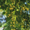 userpic__Бьюти