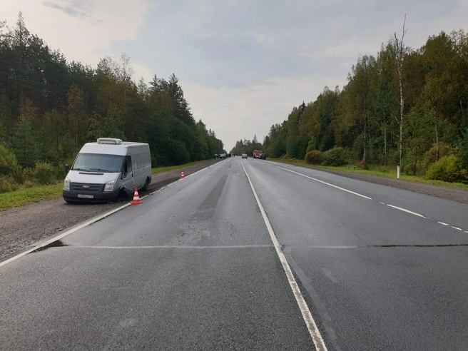 Источник: пресс-службе ГУ МВД по Петербургу и Ленобласти