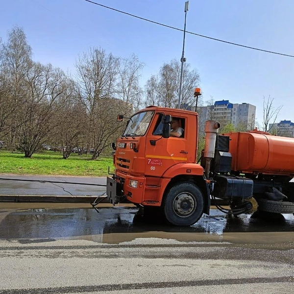 Источник: Комитет по благоустройству Петербурга