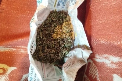Полицейские изъяли 54,86 г марихуаны у жителя Должанского района