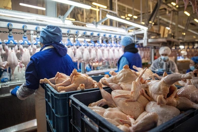 Падение производства продуктов в Якутии в 2025 году