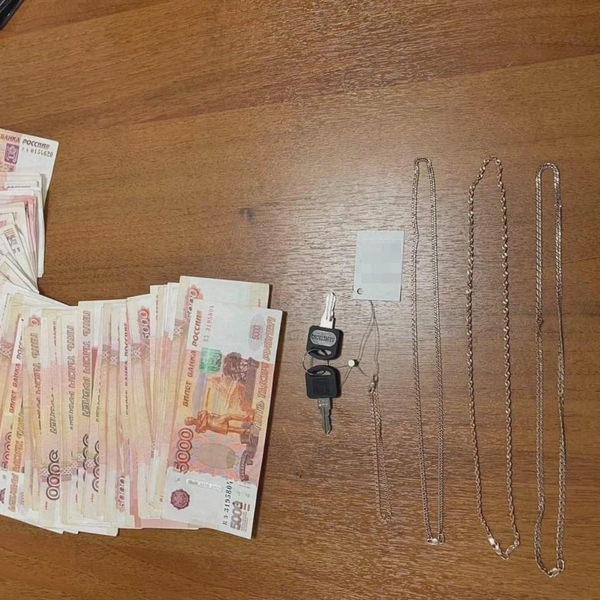Источник: ГУ МВД РФ по Санкт-Петербургу и Ленобласти