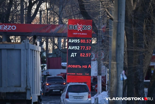 Источник: Елена Буйвол / VLADIVOSTOK1.RU