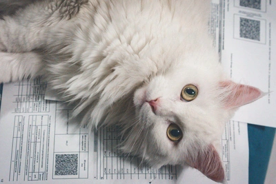 Кобзев утвердил рост тарифов ЖКУ в Приангарье на 2026 год