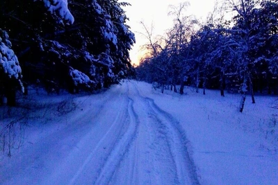 Amateur photographer captures frosty beauty near Volgograd