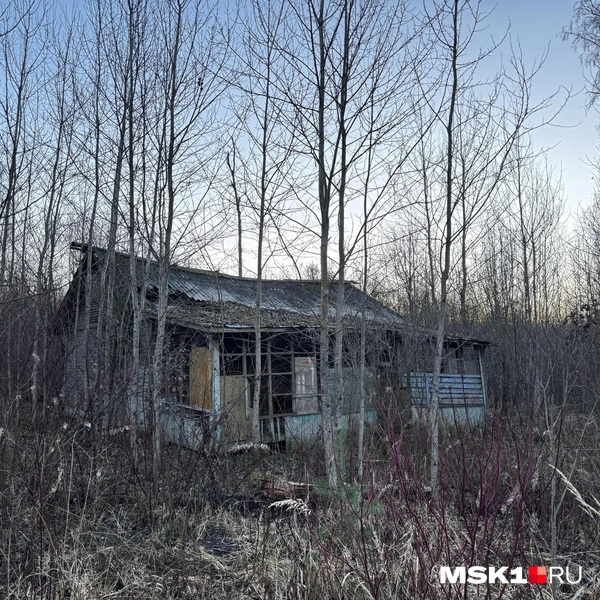 Источник: Алина Мельникова / MSK1.RU