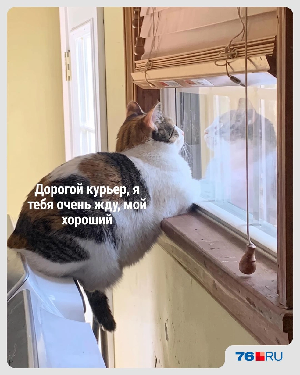 Следим за передвижениями по карте | Источник: Городские медиа