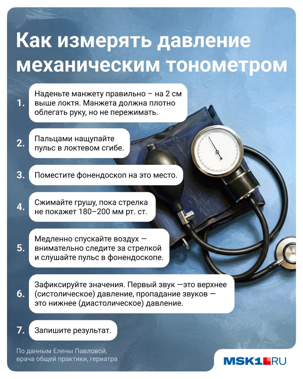 Источник: Полина Авдошина / Городские медиа