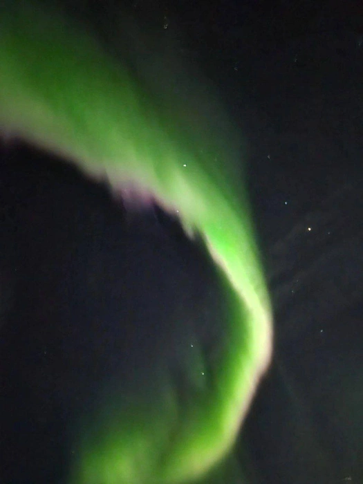 Источник: «МегаТюмень» / T.me