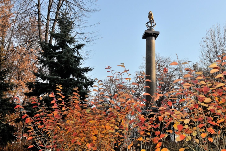 Источник: Николай Белавин/wikipedia.org