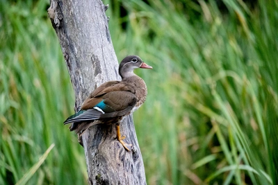 Ученые объяснили, почему озеро в Снегопади надо сохранить