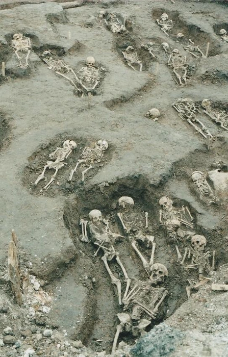 Еще одна фотография с раскопок. Всего археологи тогда выкопали 375 скелетов | Источник: Елена Кармазина / личный архив 