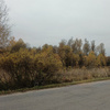 userpic__Просто Скромняга