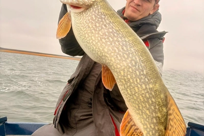 Волгоградский рыбак поймал гигантскую щуку