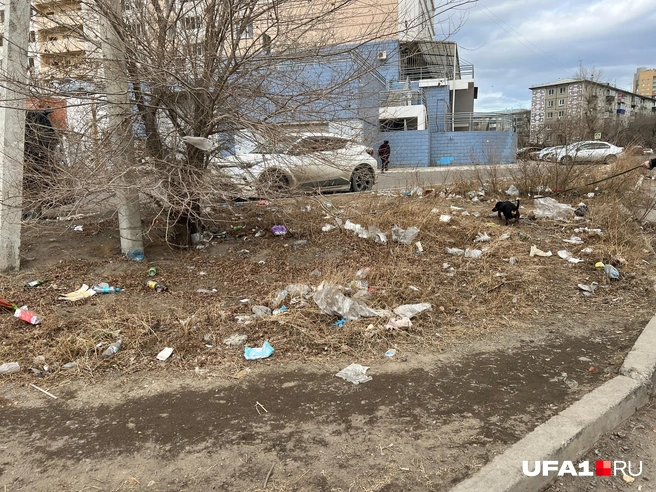 Обычный двор в Чите | Источник: Андрей Бирюков / UFA1.RU